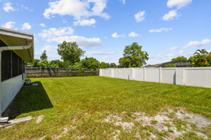 Backyard