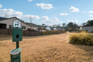 Hibiscus Way SW-0502-906.jpg