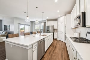 Hibiscus Way SW-S0502-014.jpg