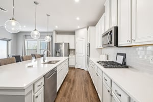 Hibiscus Way SW-S0502-016.jpg