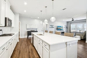 Hibiscus Way SW-S0502-017.jpg