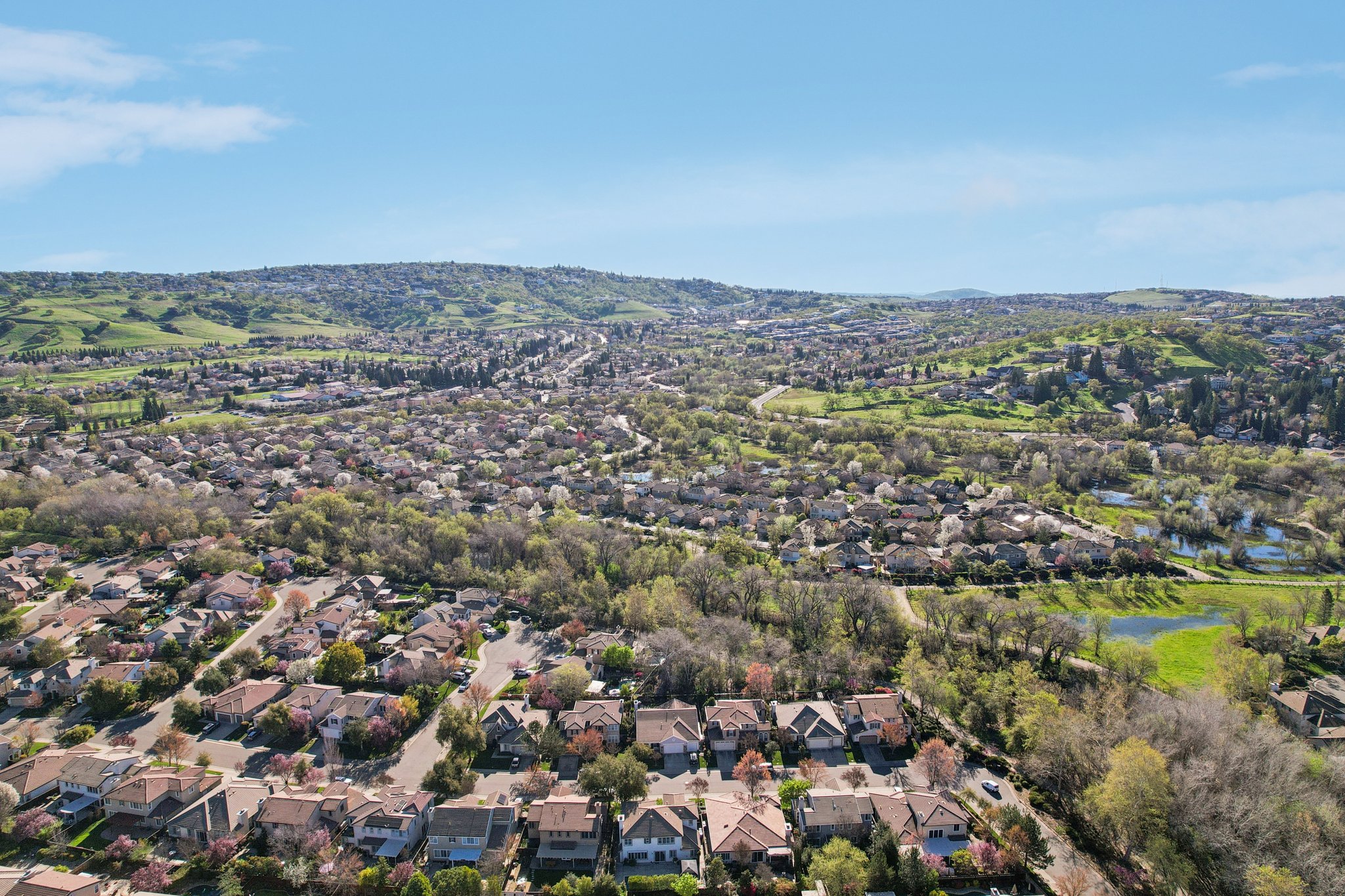 Kidder Way-S0603-055.jpg