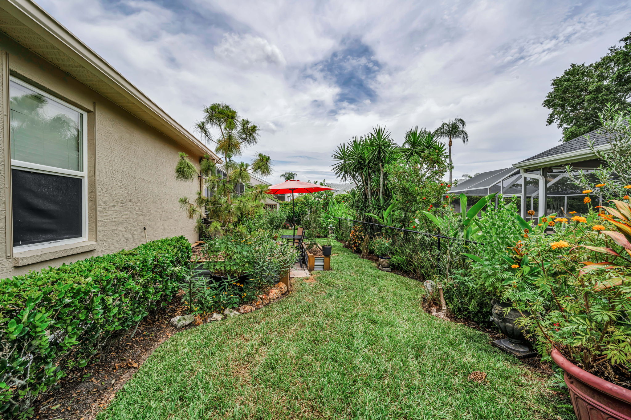 Backyard 1