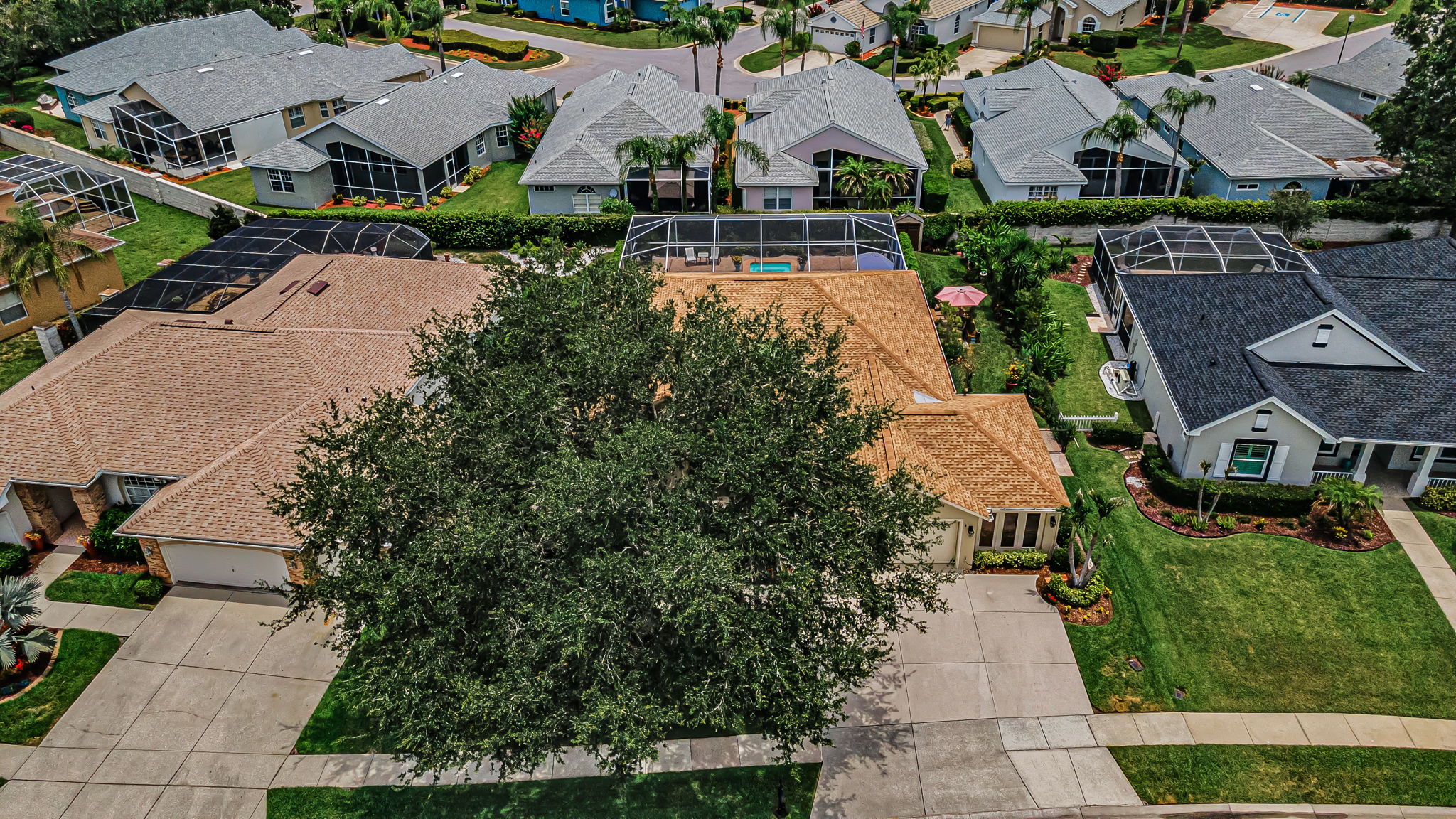 Aerial 5