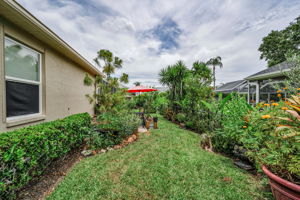 Backyard 1