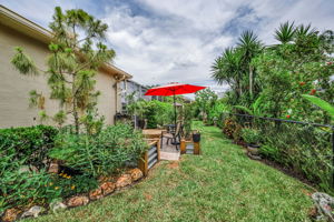 Backyard 2