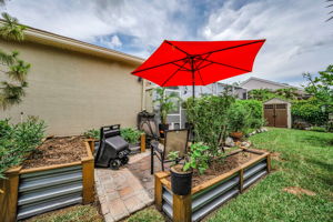 Backyard 3