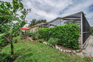 Backyard 4