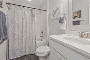  Photo 43