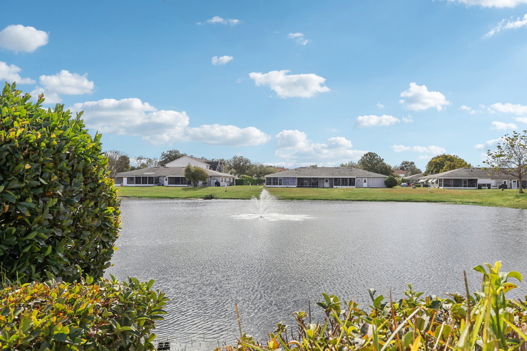 Acme Dr-2201-909.jpg