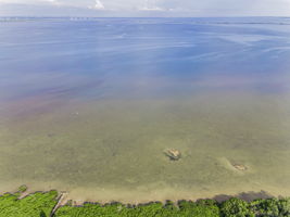 Aerial (3)