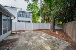 Backyard2