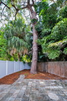 Backyard3