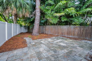 Backyard4