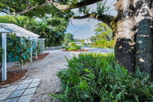 Frontyard1