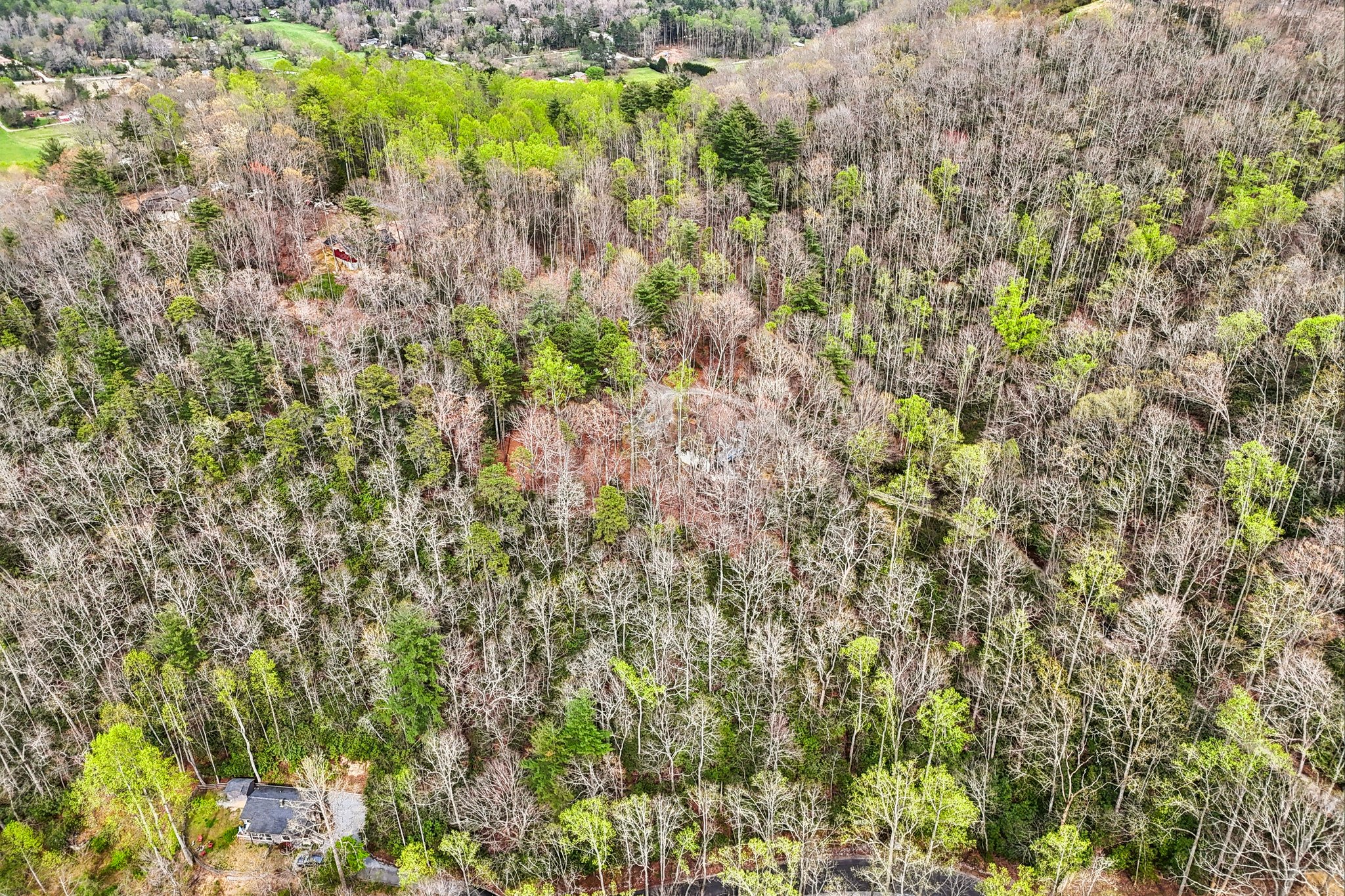 Kilpatrick Rd-S0704-061.jpg