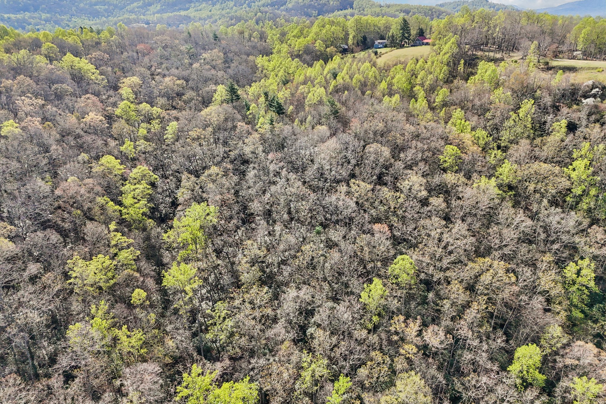 Kilpatrick Rd-S1004-1-003.jpg