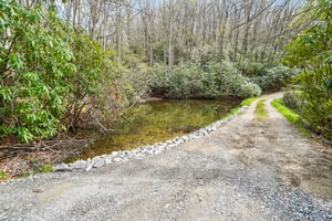 Kilpatrick Rd-S0704-050.jpg