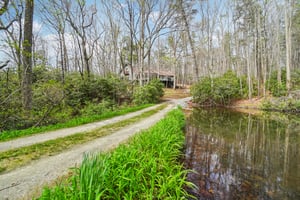 Kilpatrick Rd-S0704-053.jpg