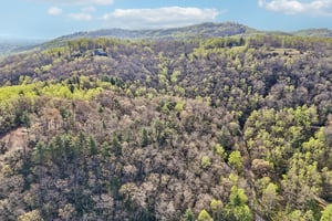 Kilpatrick Rd-S1004-1-006.jpg