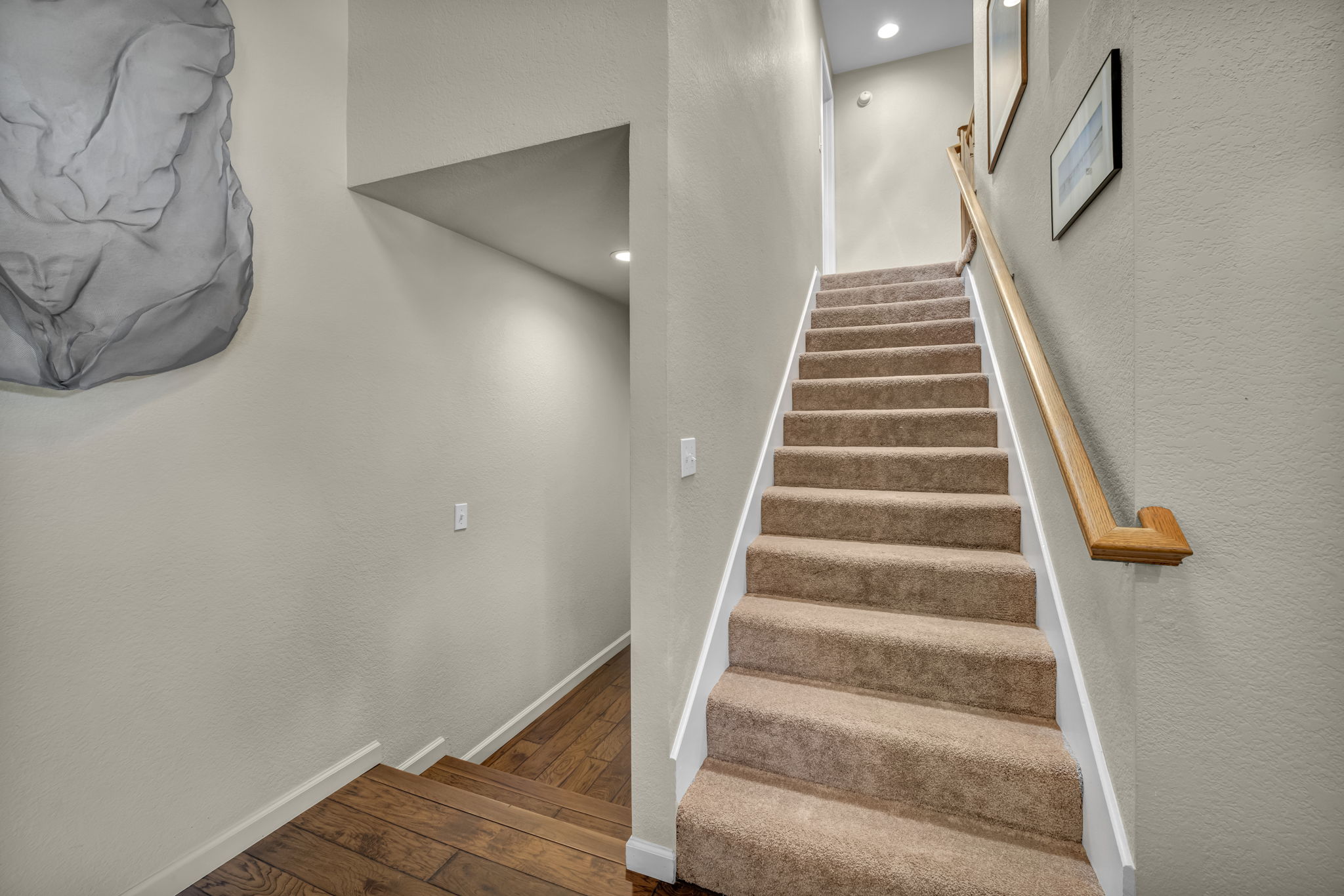  Photo 57