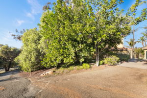 1115 S Mollison Ave-53