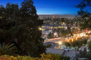 1115 S Mollison Ave-49