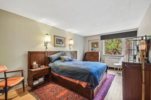 S Plymouth Ct 201-S3004-022.jpg