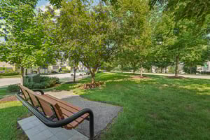 Chambers Ct-2307-906.jpg