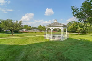 Chambers Ct-2307-910.jpg