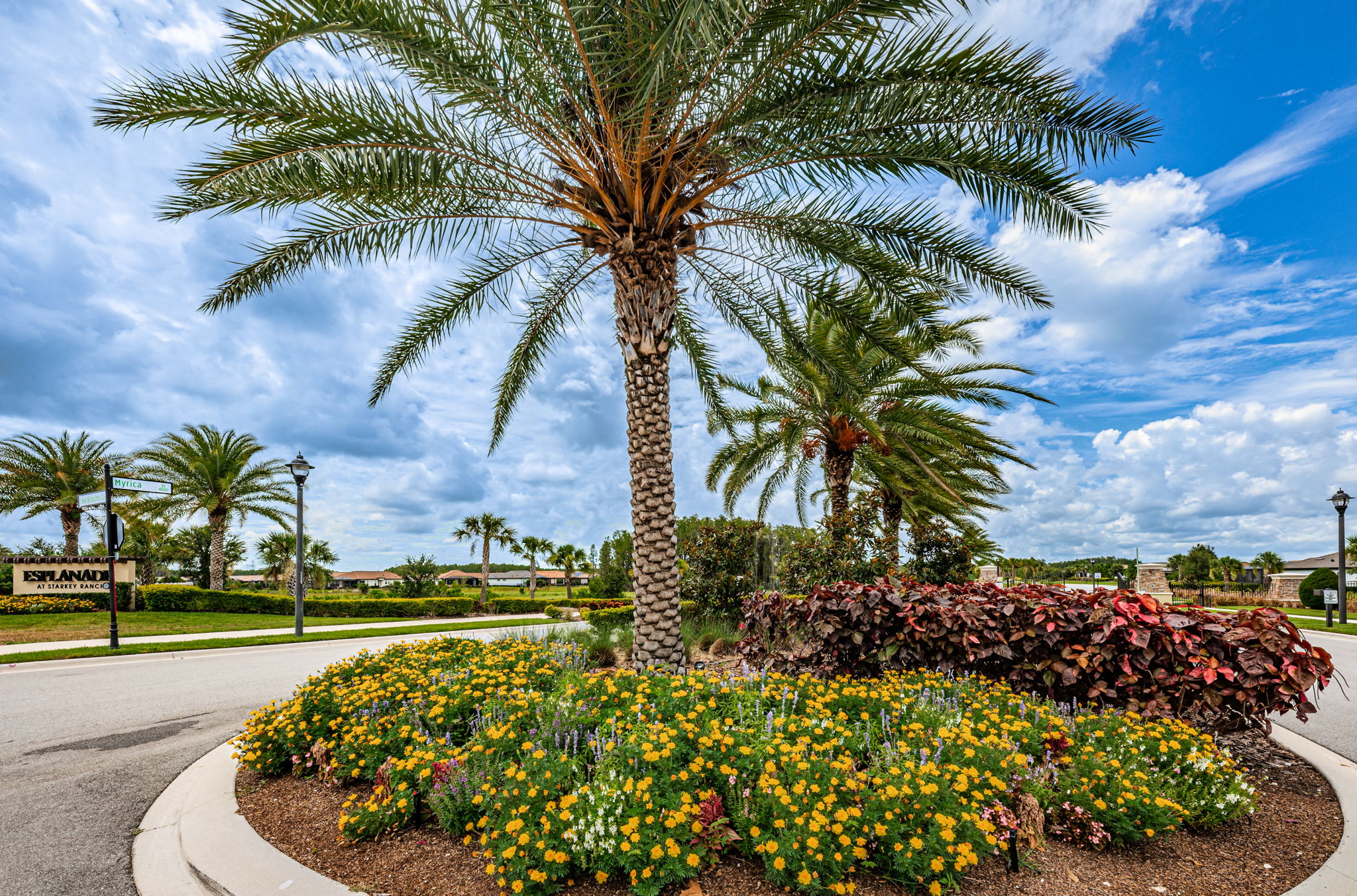 Esplanade at Starkey Ranch Gated Entry3