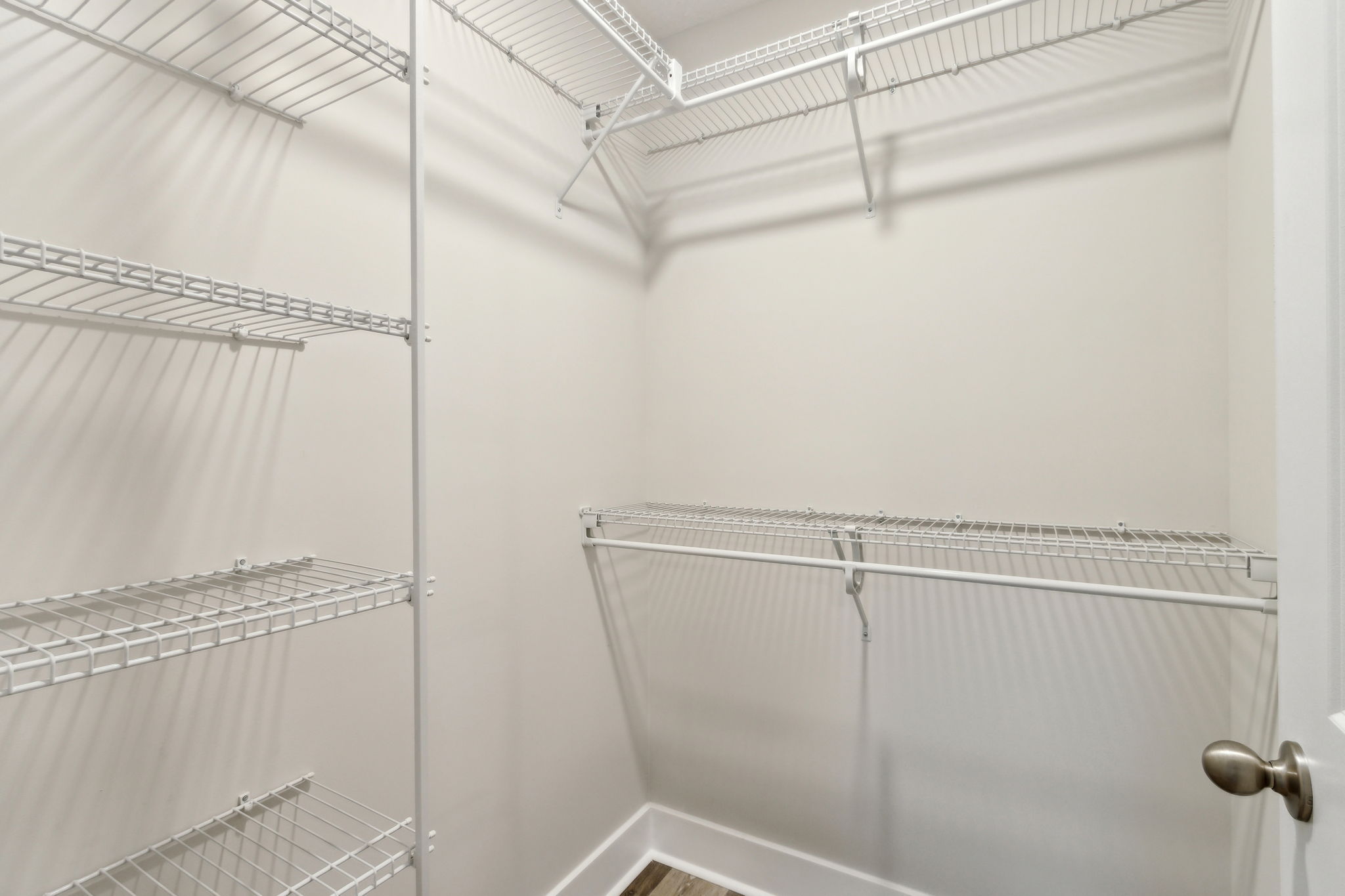 ...and large walk-in closet with custom shelving.