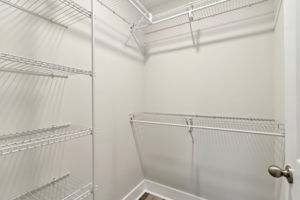 ...and large walk-in closet with custom shelving.