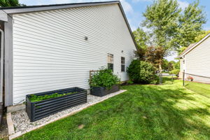 Side Yard