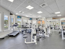  Photo 44