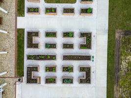 DJI_0926