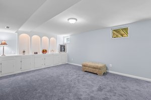Walkout Basement with Built-Ins