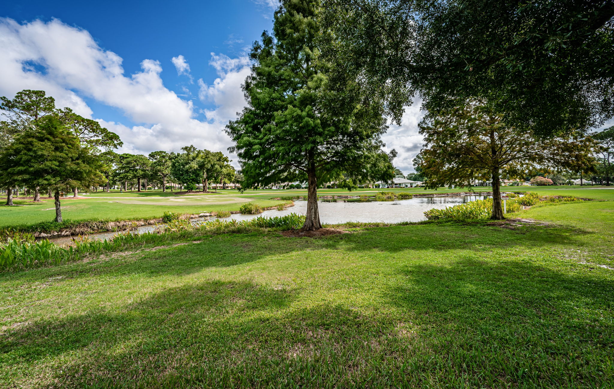 Pond View1