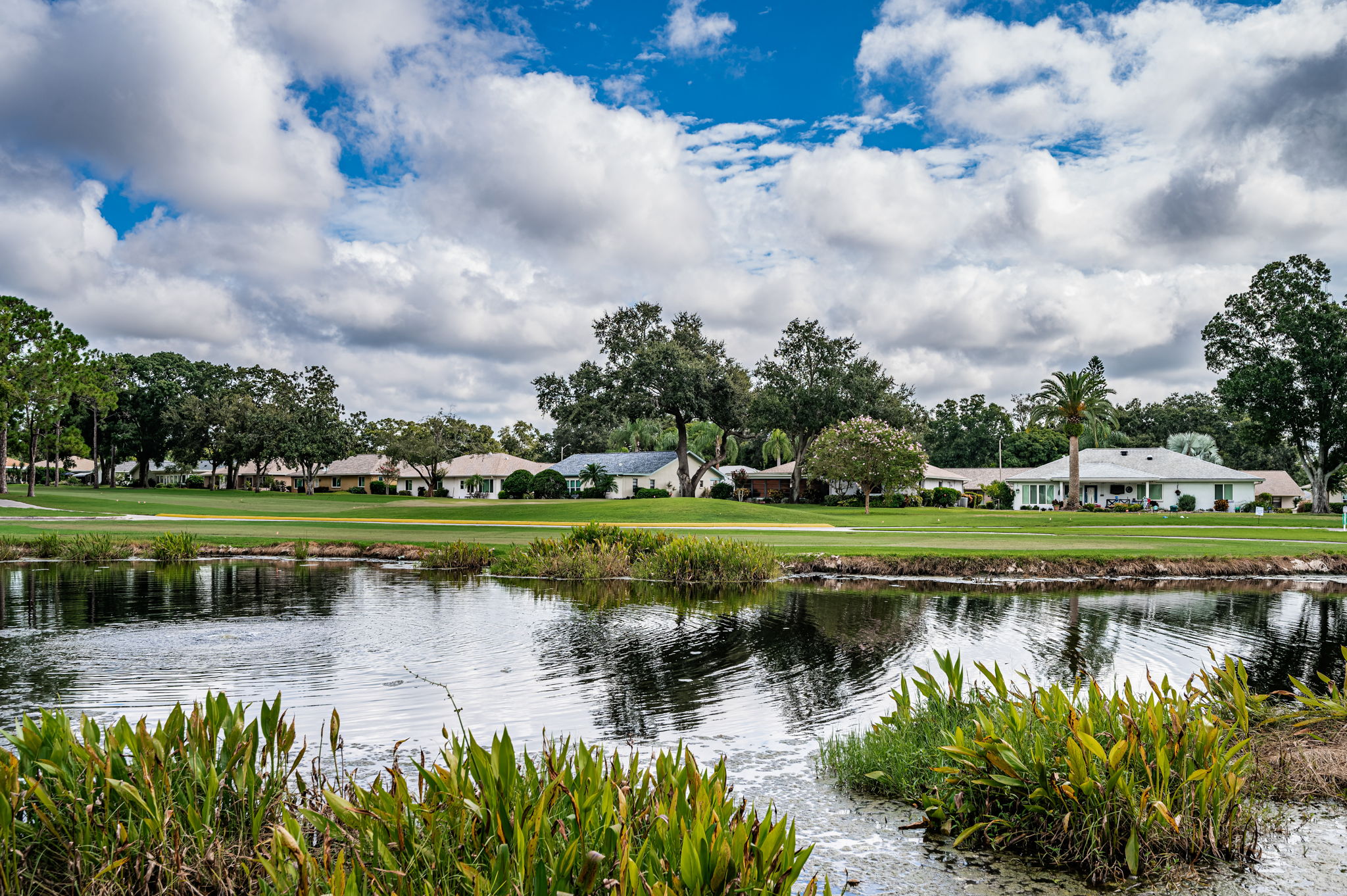 Pond View2
