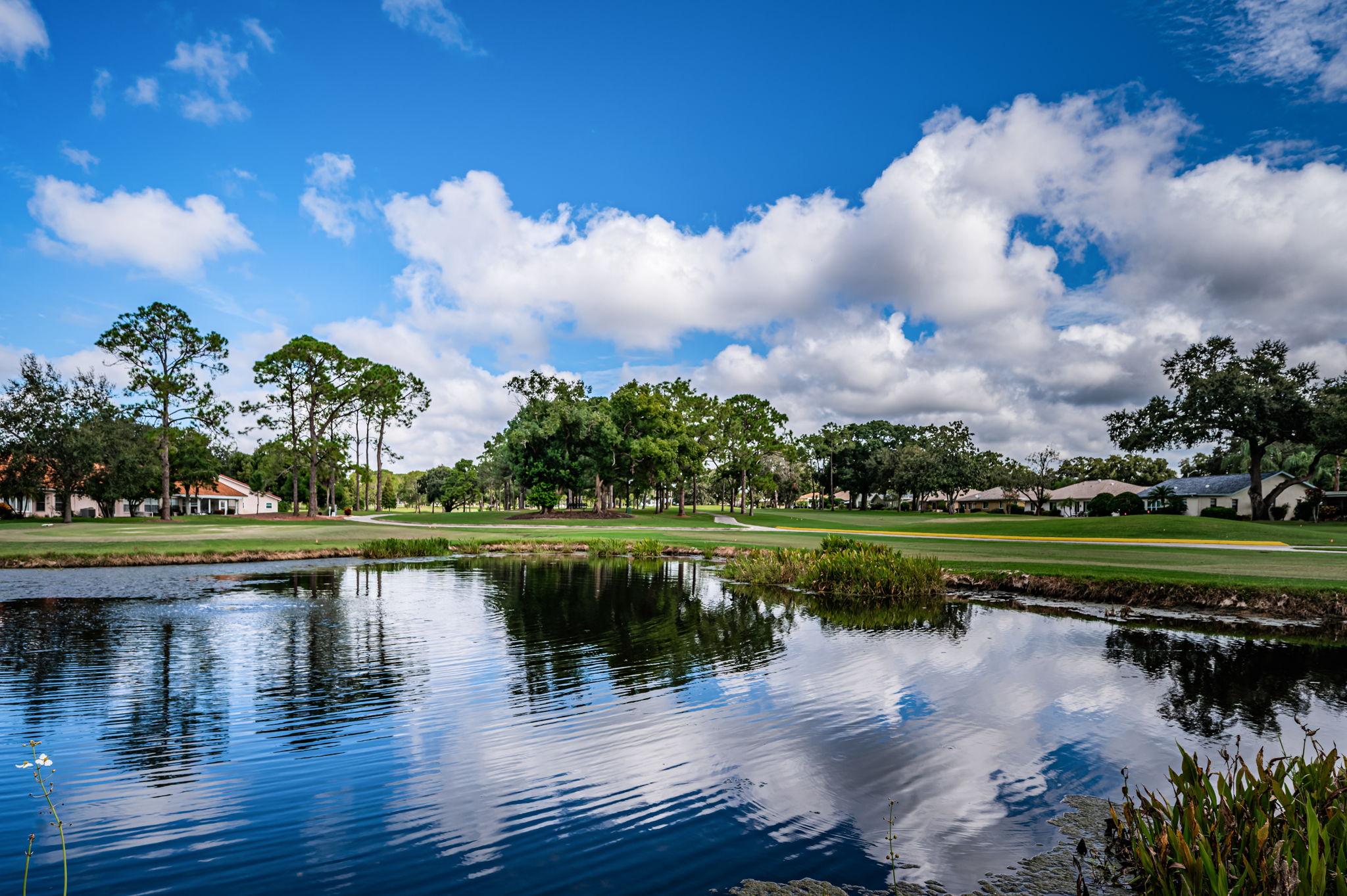 Pond View3