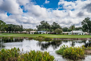 Pond View2