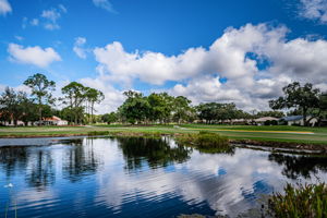 Pond View3