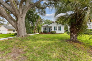 Front Yard