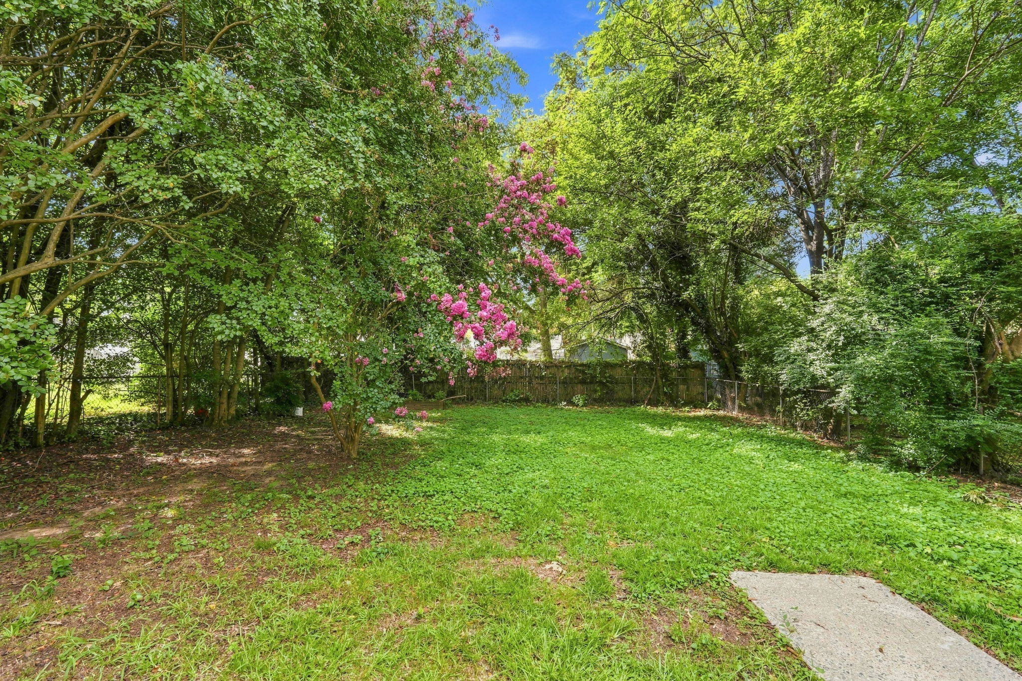 Back Yard