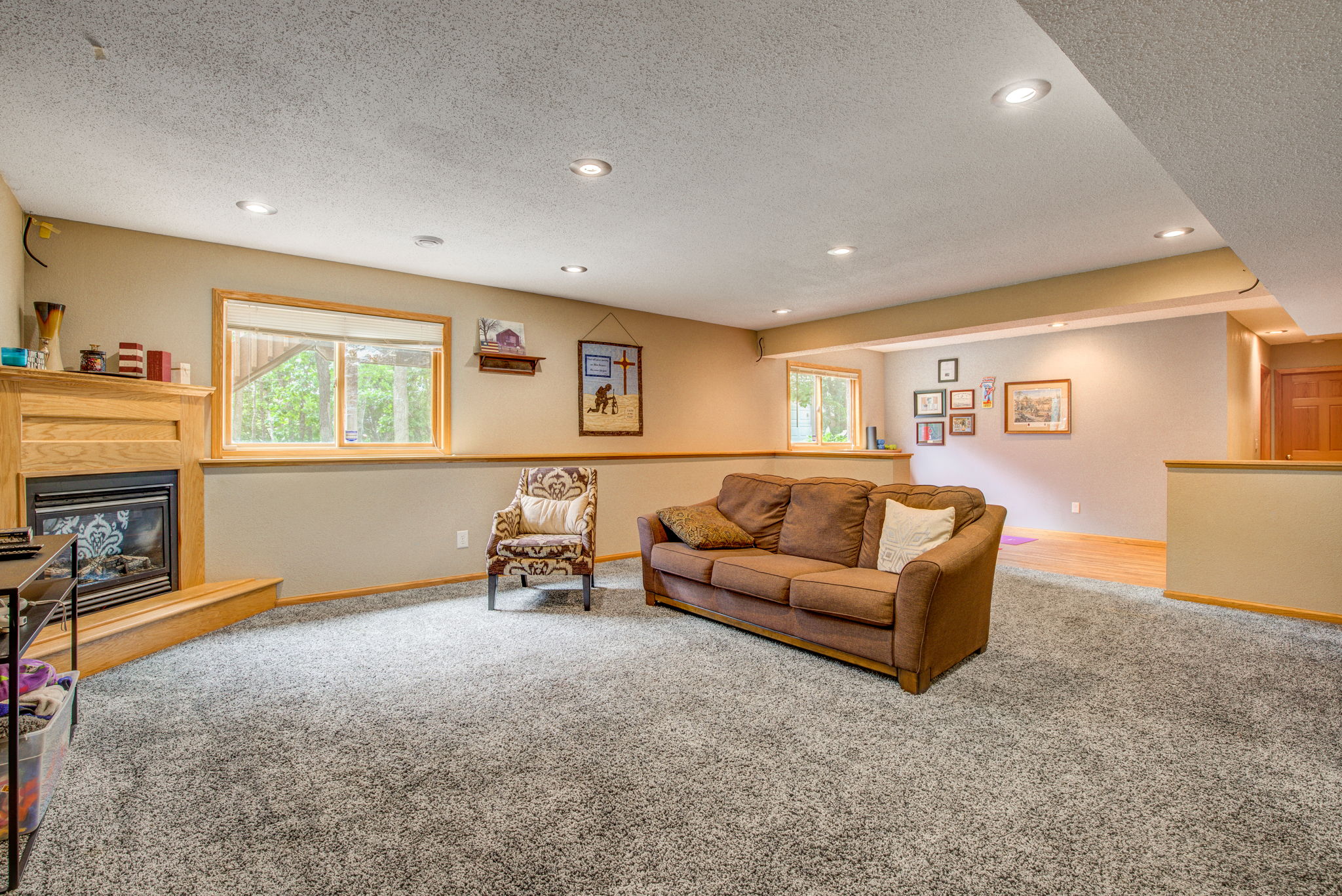 Lower Level - Main Living Area