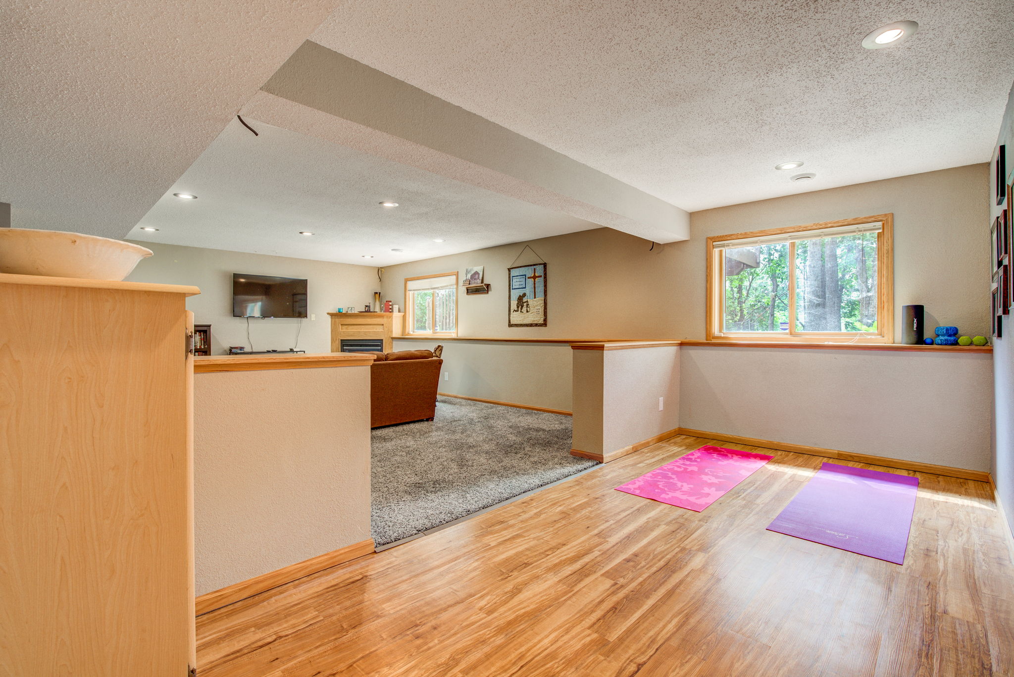 Lower Level - Main Living Area