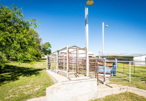  Photo 46