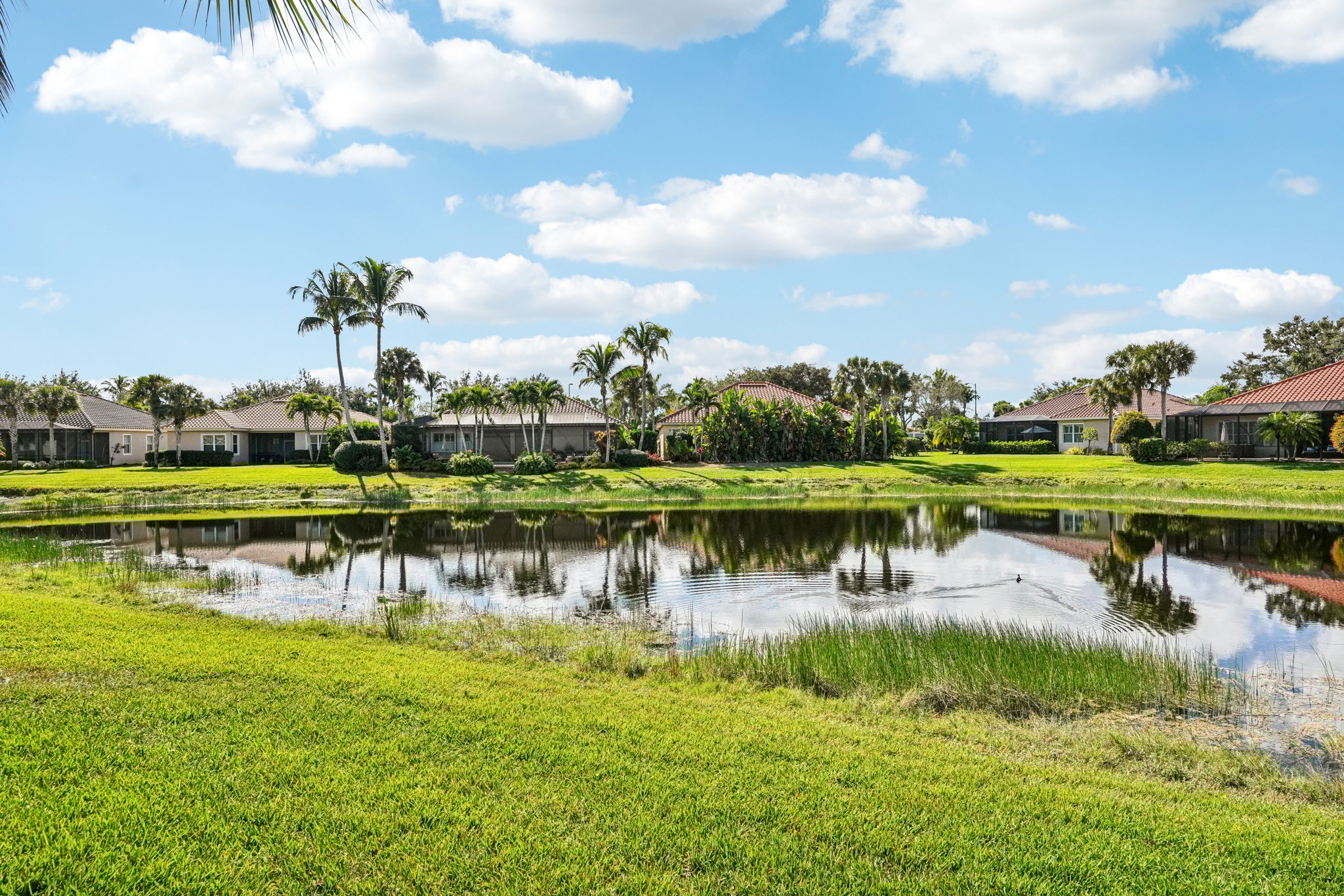 Laughton Cir-S2711-039.jpg