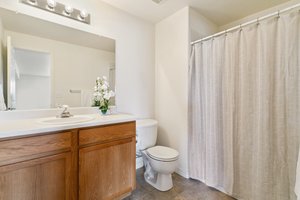 Basement Bathroom