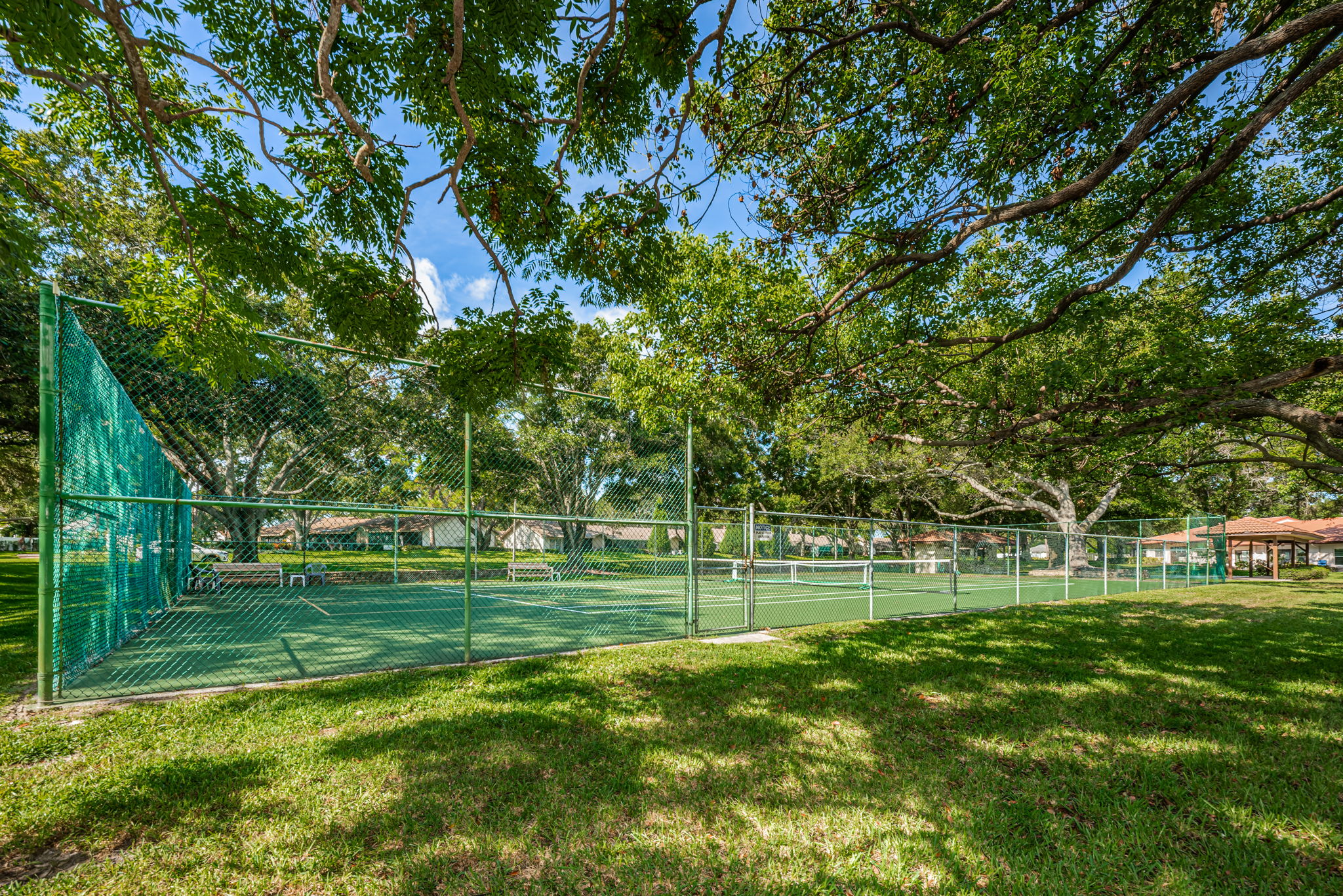 7-Scotsdale Tennis and Pickleball